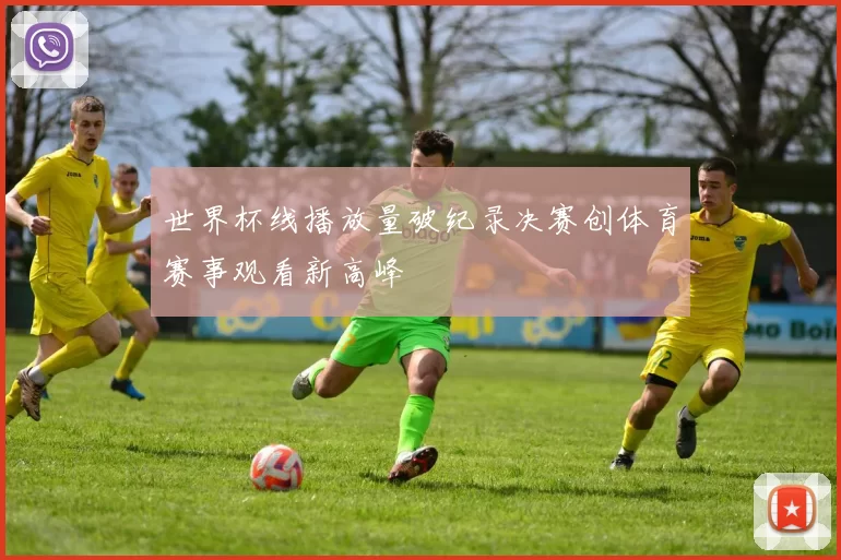 世界杯线播放量破纪录决赛创体育赛事观看新高峰